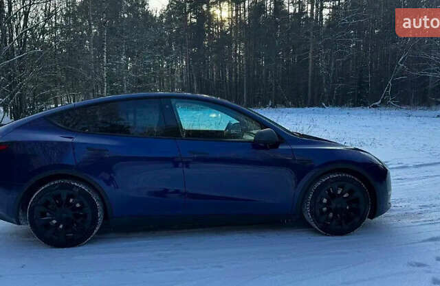 Синий Тесла Model Y, объемом двигателя 0 л и пробегом 55 тыс. км за 28000 $, фото 7 на Automoto.ua