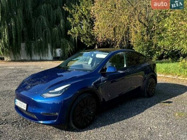 Синий Тесла Model Y, объемом двигателя 0 л и пробегом 72 тыс. км за 24800 $, фото 3 на Automoto.ua