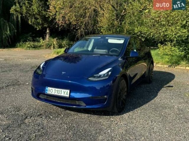 Синий Тесла Model Y, объемом двигателя 0 л и пробегом 72 тыс. км за 24800 $, фото 6 на Automoto.ua