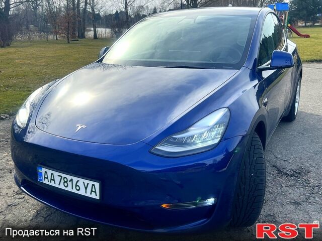 Синій Тесла Model Y, об'ємом двигуна 0 л та пробігом 45 тис. км за 36000 $, фото 5 на Automoto.ua