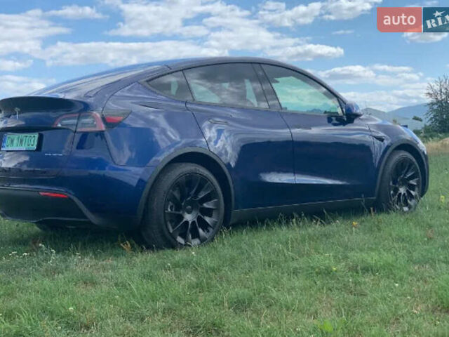 Синий Тесла Model Y, объемом двигателя 0 л и пробегом 29 тыс. км за 30000 $, фото 11 на Automoto.ua