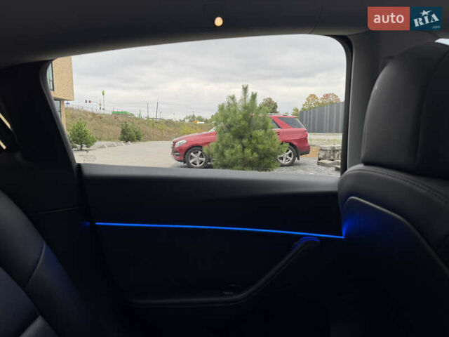 Синій Тесла Model Y, об'ємом двигуна 0 л та пробігом 48 тис. км за 30000 $, фото 15 на Automoto.ua