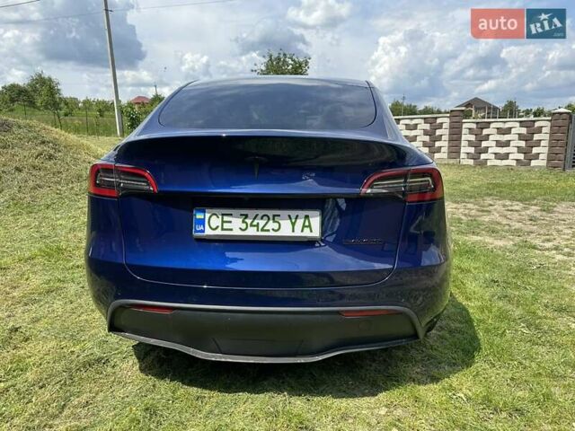 Синий Тесла Model Y, объемом двигателя 0 л и пробегом 45 тыс. км за 25990 $, фото 5 на Automoto.ua