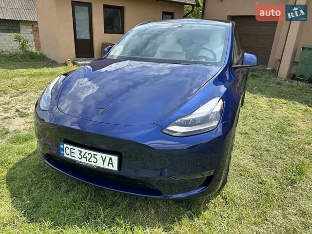 Синий Тесла Model Y, объемом двигателя 0 л и пробегом 45 тыс. км за 25990 $, фото 9 на Automoto.ua