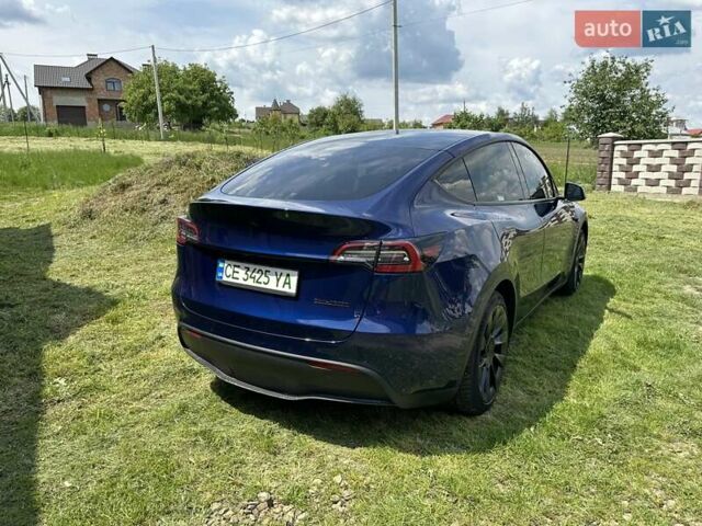 Синий Тесла Model Y, объемом двигателя 0 л и пробегом 45 тыс. км за 25990 $, фото 4 на Automoto.ua