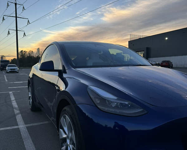 Синий Тесла Model Y, объемом двигателя 0 л и пробегом 60 тыс. км за 26900 $, фото 16 на Automoto.ua