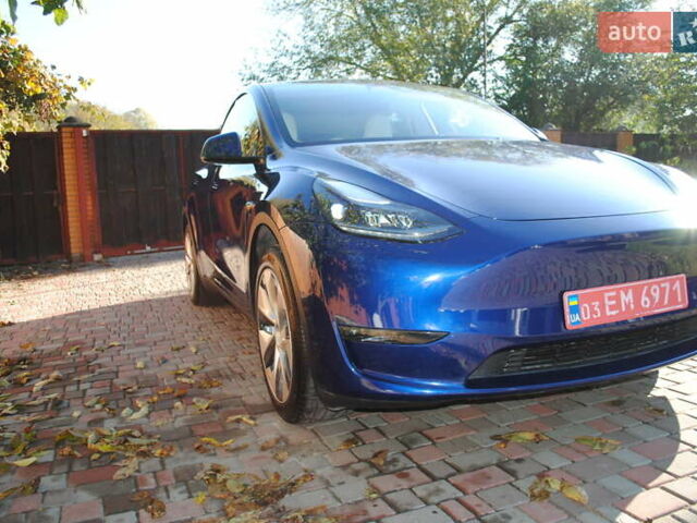 Синій Тесла Model Y, об'ємом двигуна 0 л та пробігом 24 тис. км за 26400 $, фото 26 на Automoto.ua