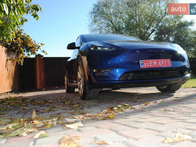 Синій Тесла Model Y, об'ємом двигуна 0 л та пробігом 24 тис. км за 26400 $, фото 27 на Automoto.ua