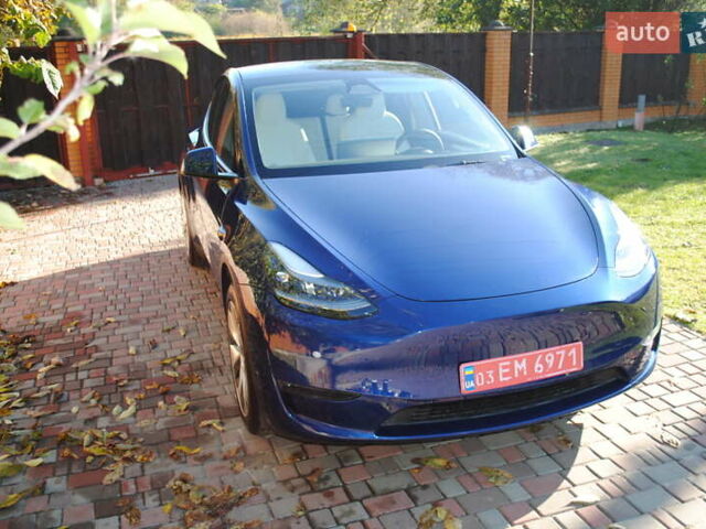 Синій Тесла Model Y, об'ємом двигуна 0 л та пробігом 24 тис. км за 26400 $, фото 28 на Automoto.ua