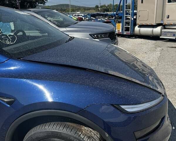Синий Тесла Model Y, объемом двигателя 0 л и пробегом 1 тыс. км за 35000 $, фото 2 на Automoto.ua