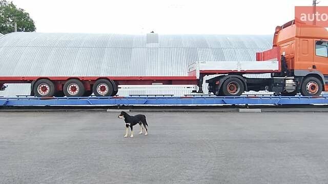 Красный Тирсан ХС, объемом двигателя 0 л и пробегом 0 тыс. км за 16500 $, фото 4 на Automoto.ua