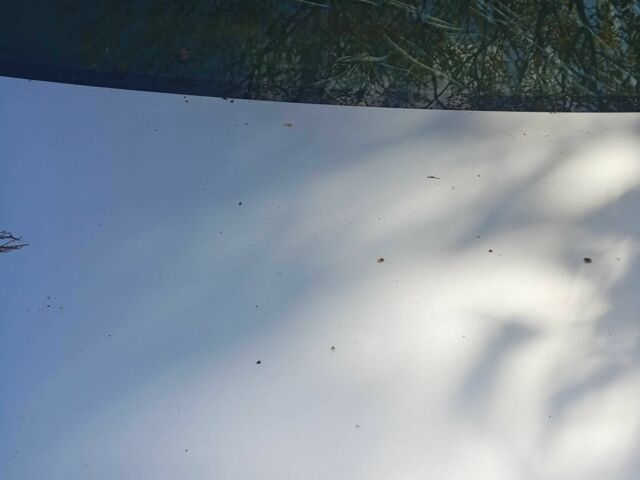 Сірий Тойота Авенсіс, об'ємом двигуна 1.8 л та пробігом 250 тис. км за 4100 $, фото 4 на Automoto.ua