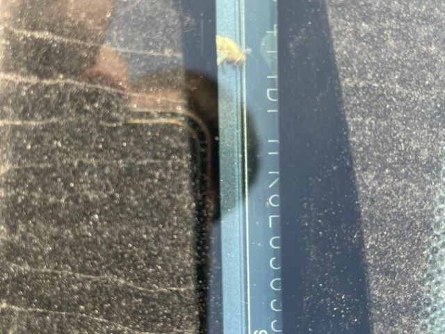 Сірий Тойота Камрі, об'ємом двигуна 2.5 л та пробігом 301 тис. км за 9900 $, фото 21 на Automoto.ua