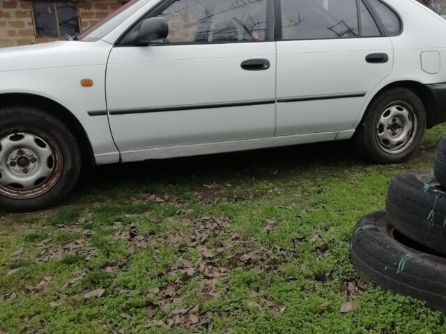 Білий Тойота Королла, об'ємом двигуна 0 л та пробігом 402 тис. км за 1500 $, фото 16 на Automoto.ua