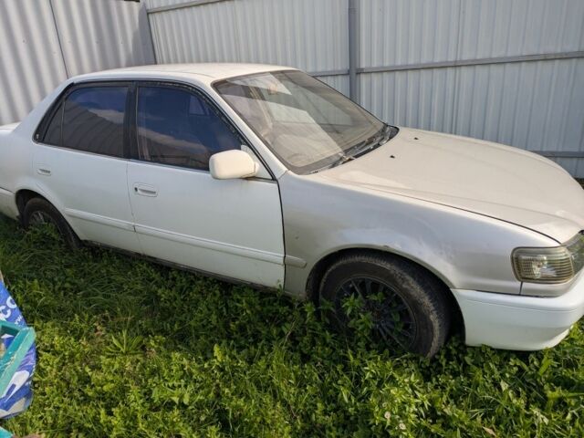 Белый Тойота Королла, объемом двигателя 1.5 л и пробегом 150 тыс. км за 2000 $, фото 1 на Automoto.ua