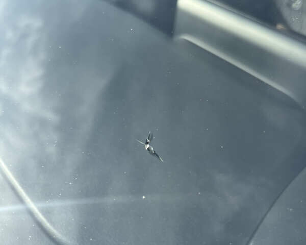 Білий Тойота Королла, об'ємом двигуна 1.6 л та пробігом 43 тис. км за 17000 $, фото 14 на Automoto.ua