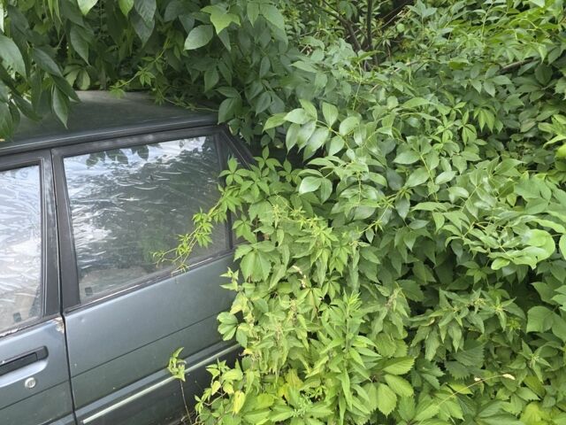 Черный Тойота Королла, объемом двигателя 0 л и пробегом 999 тыс. км за 150 $, фото 5 на Automoto.ua