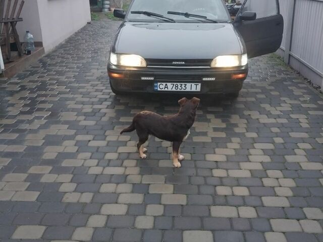 Серый Тойота Королла, объемом двигателя 1.3 л и пробегом 380 тыс. км за 1184 $, фото 3 на Automoto.ua