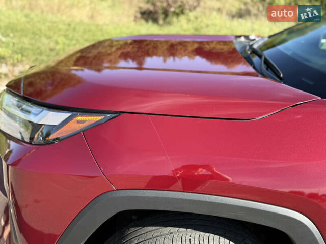 Красный Тойота РАВ 4, объемом двигателя 2.49 л и пробегом 19 тыс. км за 37000 $, фото 14 на Automoto.ua