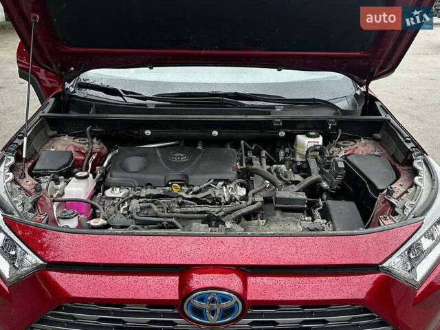 Тойота РАВ 4, объемом двигателя 2.49 л и пробегом 17 тыс. км за 43500 $, фото 25 на Automoto.ua