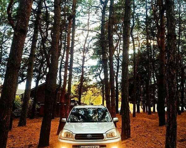 Серый Тойота РАВ 4, объемом двигателя 2 л и пробегом 273 тыс. км за 7300 $, фото 6 на Automoto.ua