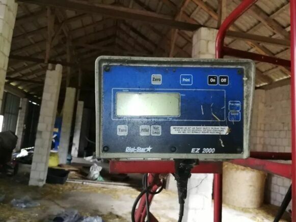 Красный Trioliet Другая, объемом двигателя 0 л и пробегом 0 тыс. км за 10459 $, фото 4 на Automoto.ua