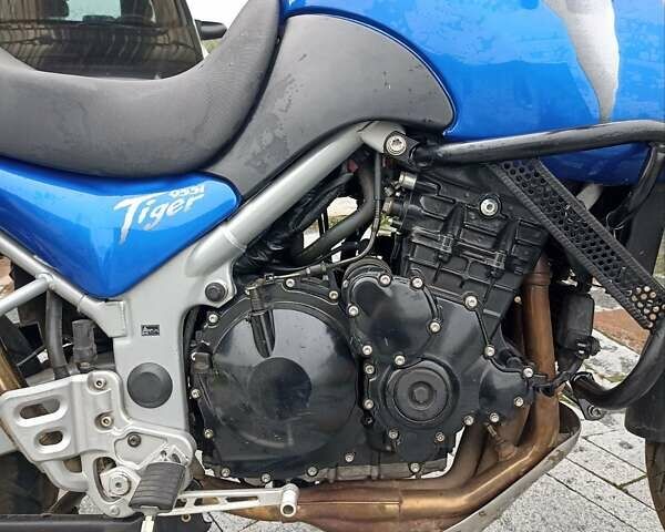 Синій Тріумф Тігр, об'ємом двигуна 0 л та пробігом 39 тис. км за 5550 $, фото 12 на Automoto.ua