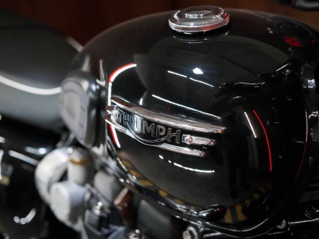 Триумф Другая, объемом двигателя 1.2 л и пробегом 0 тыс. км за 15500 $, фото 7 на Automoto.ua