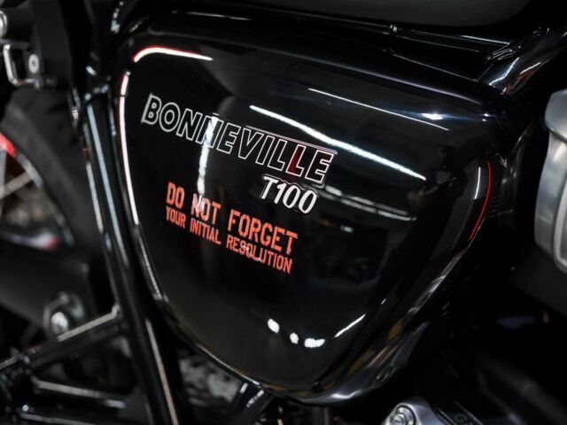 Тріумф Інша 2020 у Дніпро (Дніпропетровську) на Automoto.ua Тріумф Інша, об'ємом двигуна 0.9 л та пробігом 0 тис. км за 11000 $, фото 8 на Automoto.ua