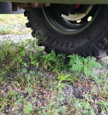 Зелений УАЗ 469, об'ємом двигуна 2.4 л та пробігом 50 тис. км за 1900 $, фото 11 на Automoto.ua