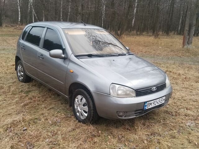 Серый ВАЗ 1119 Калина, объемом двигателя 1.6 л и пробегом 183 тыс. км за 1300 $, фото 8 на Automoto.ua