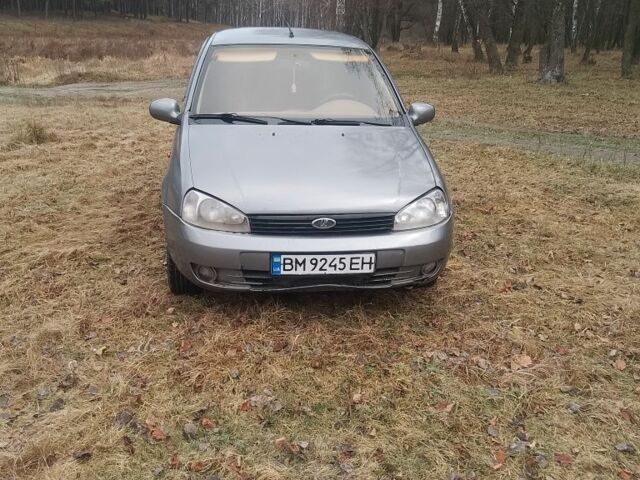 Серый ВАЗ 1119 Калина, объемом двигателя 1.6 л и пробегом 183 тыс. км за 1300 $, фото 5 на Automoto.ua