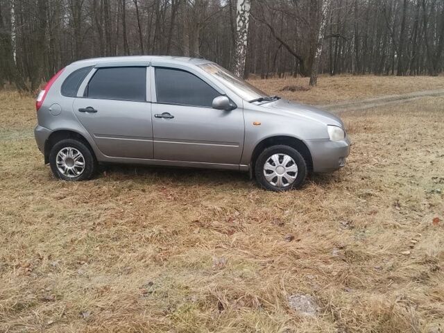 Серый ВАЗ 1119 Калина, объемом двигателя 1.6 л и пробегом 183 тыс. км за 1300 $, фото 4 на Automoto.ua