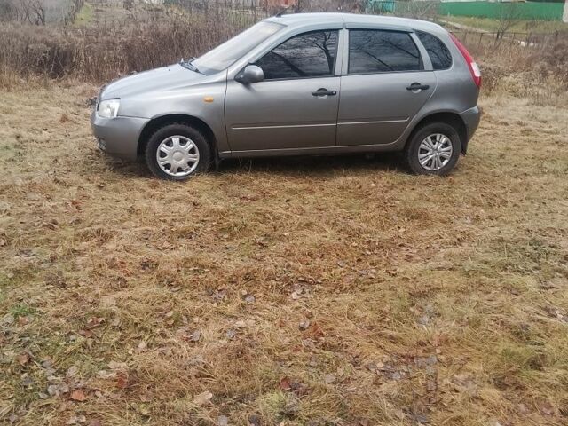 Серый ВАЗ 1119 Калина, объемом двигателя 1.6 л и пробегом 183 тыс. км за 1300 $, фото 10 на Automoto.ua