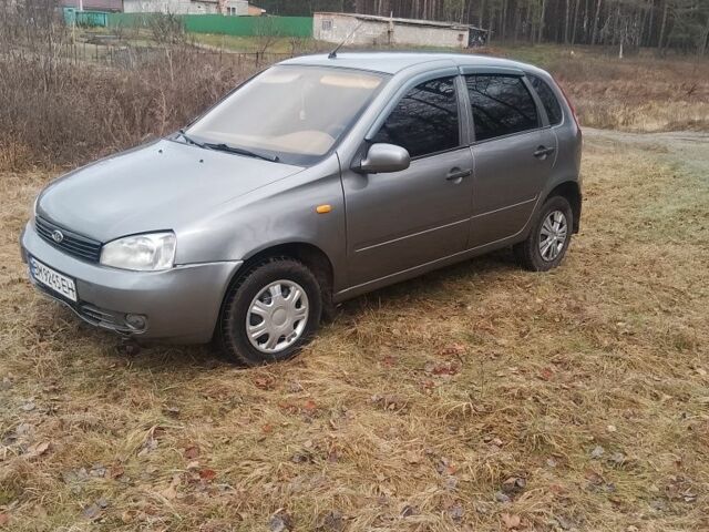 Серый ВАЗ 1119 Калина, объемом двигателя 1.6 л и пробегом 183 тыс. км за 1300 $, фото 6 на Automoto.ua