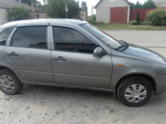 Серый ВАЗ 1119 Калина, объемом двигателя 1.6 л и пробегом 2 тыс. км за 75000 $, фото 1 на Automoto.ua