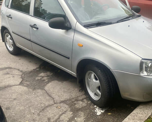 Серый ВАЗ 1119 Калина, объемом двигателя 1.4 л и пробегом 48 тыс. км за 2990 $, фото 12 на Automoto.ua