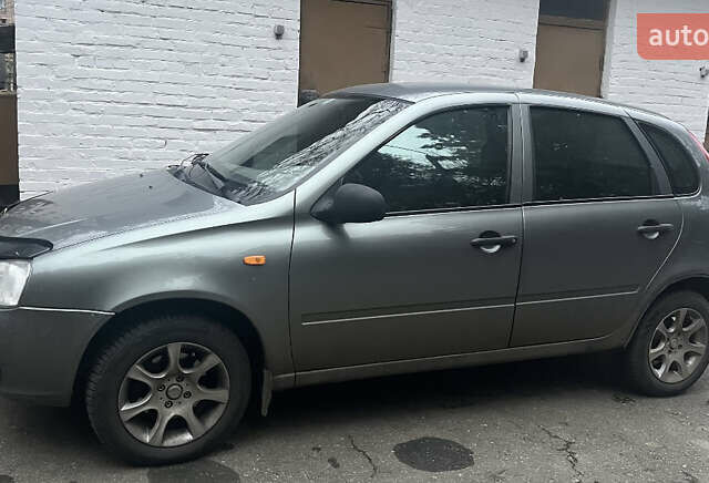 Серый ВАЗ 1119 Калина, объемом двигателя 1.39 л и пробегом 100 тыс. км за 2000 $, фото 1 на Automoto.ua