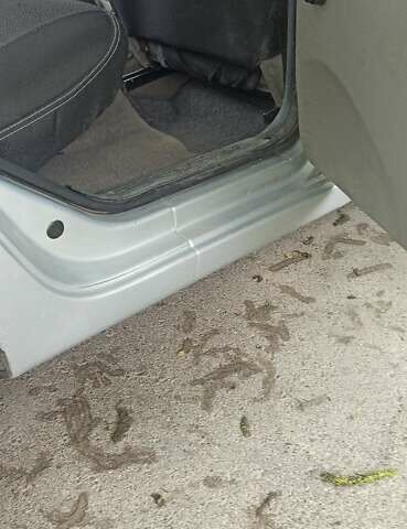 Серый ВАЗ 1119 Калина, объемом двигателя 1.4 л и пробегом 190 тыс. км за 2200 $, фото 13 на Automoto.ua