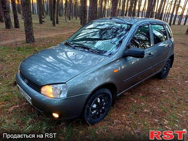 Сірий ВАЗ 1119 Калина, об'ємом двигуна 1.6 л та пробігом 116 тис. км за 3500 $, фото 1 на Automoto.ua