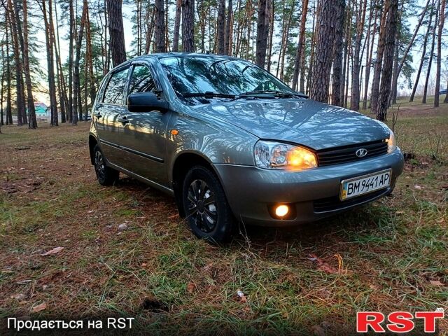Сірий ВАЗ 1119 Калина, об'ємом двигуна 1.6 л та пробігом 116 тис. км за 3500 $, фото 2 на Automoto.ua