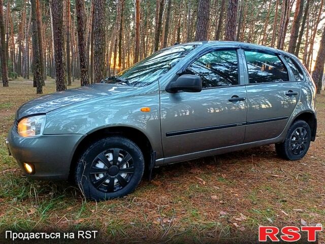 Сірий ВАЗ 1119 Калина, об'ємом двигуна 1.6 л та пробігом 116 тис. км за 3500 $, фото 13 на Automoto.ua