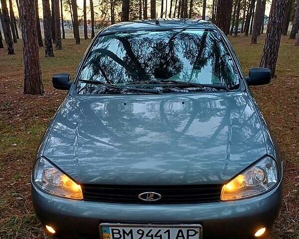 Серый ВАЗ 1119 Калина, объемом двигателя 1.6 л и пробегом 116 тыс. км за 3500 $, фото 13 на Automoto.ua