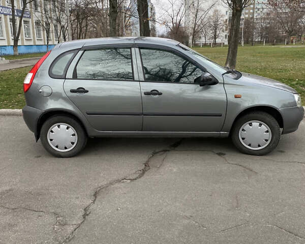 Серый ВАЗ 1119 Калина, объемом двигателя 1.4 л и пробегом 33 тыс. км за 3350 $, фото 8 на Automoto.ua