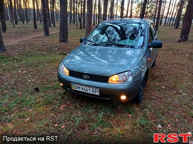 Сірий ВАЗ 1119 Калина, об'ємом двигуна 1.6 л та пробігом 116 тис. км за 3500 $, фото 12 на Automoto.ua