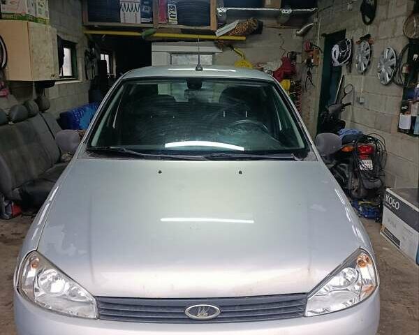 Серый ВАЗ 1119 Калина, объемом двигателя 1.6 л и пробегом 143 тыс. км за 2000 $, фото 4 на Automoto.ua