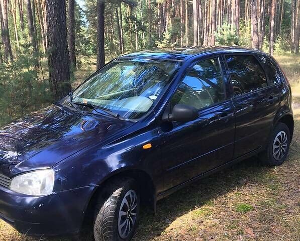 Синий ВАЗ 1119 Калина, объемом двигателя 1.6 л и пробегом 210 тыс. км за 2400 $, фото 5 на Automoto.ua