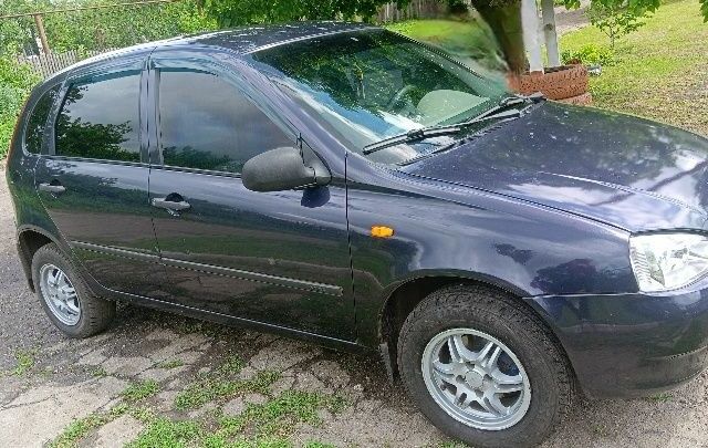 Синий ВАЗ 1119 Калина, объемом двигателя 1.5 л и пробегом 2 тыс. км за 2000 $, фото 7 на Automoto.ua
