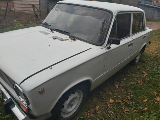 ВАЗ 2101 1980 в Недригайлове на Automoto.ua Белый ВАЗ 2101, объемом двигателя 1 л и пробегом 111 тыс. км за 350 $, фото 4 на Automoto.ua