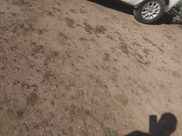 Белый ВАЗ 2101, объемом двигателя 1.2 л и пробегом 800 тыс. км за 336 $, фото 1 на Automoto.ua